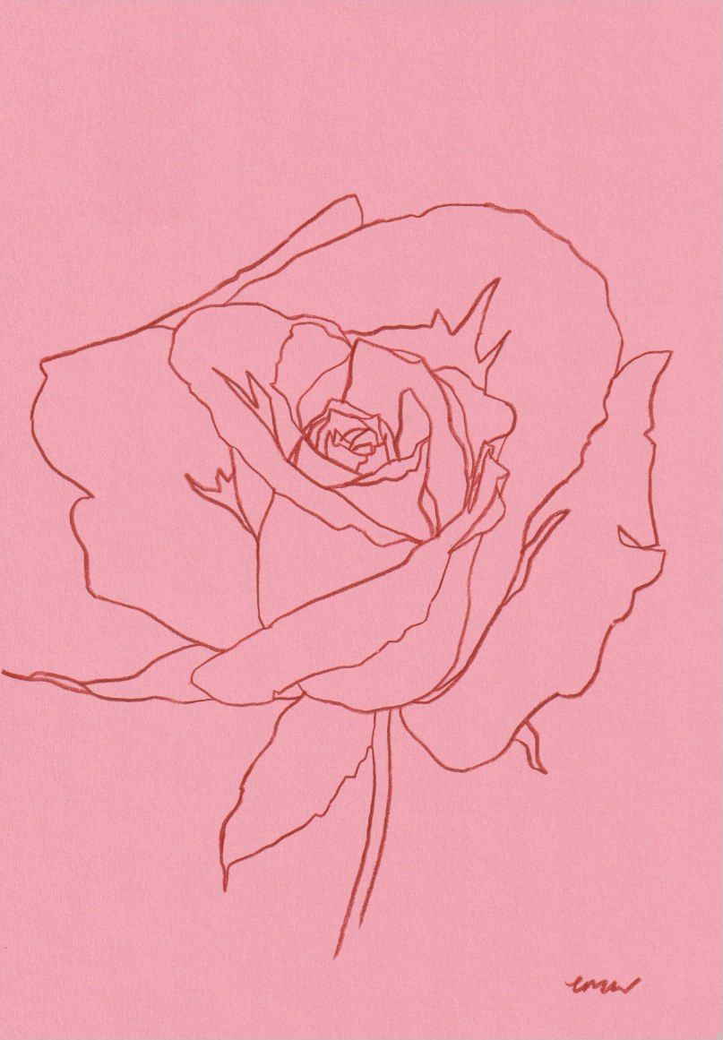 Rose VIII by Ellen Williams