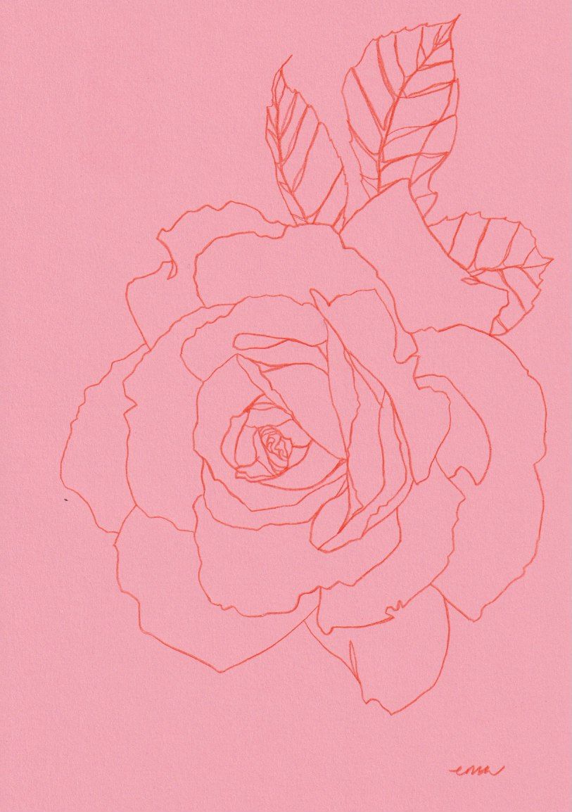 Rose XI by Ellen Williams