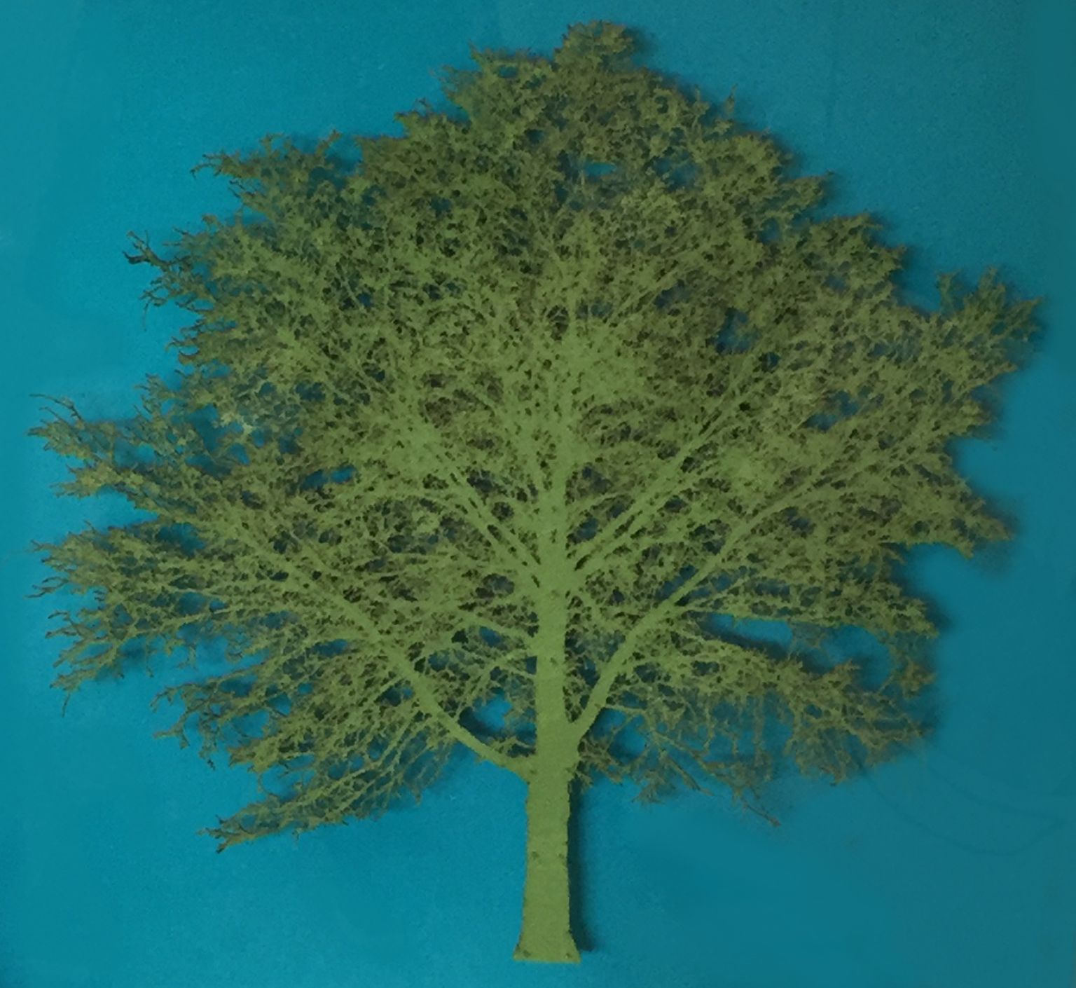 Green Oak Tree by Emma Levine