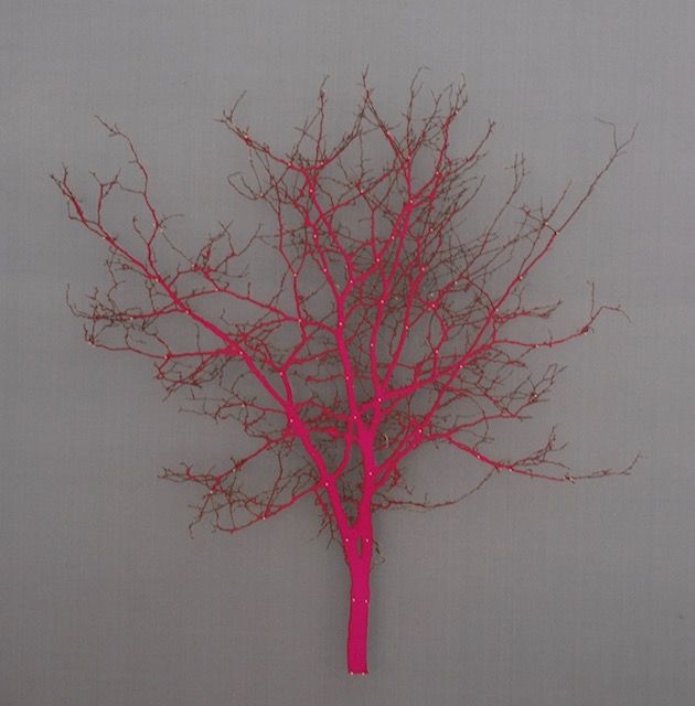Pink Grey Hawthorn by Emma Levine
