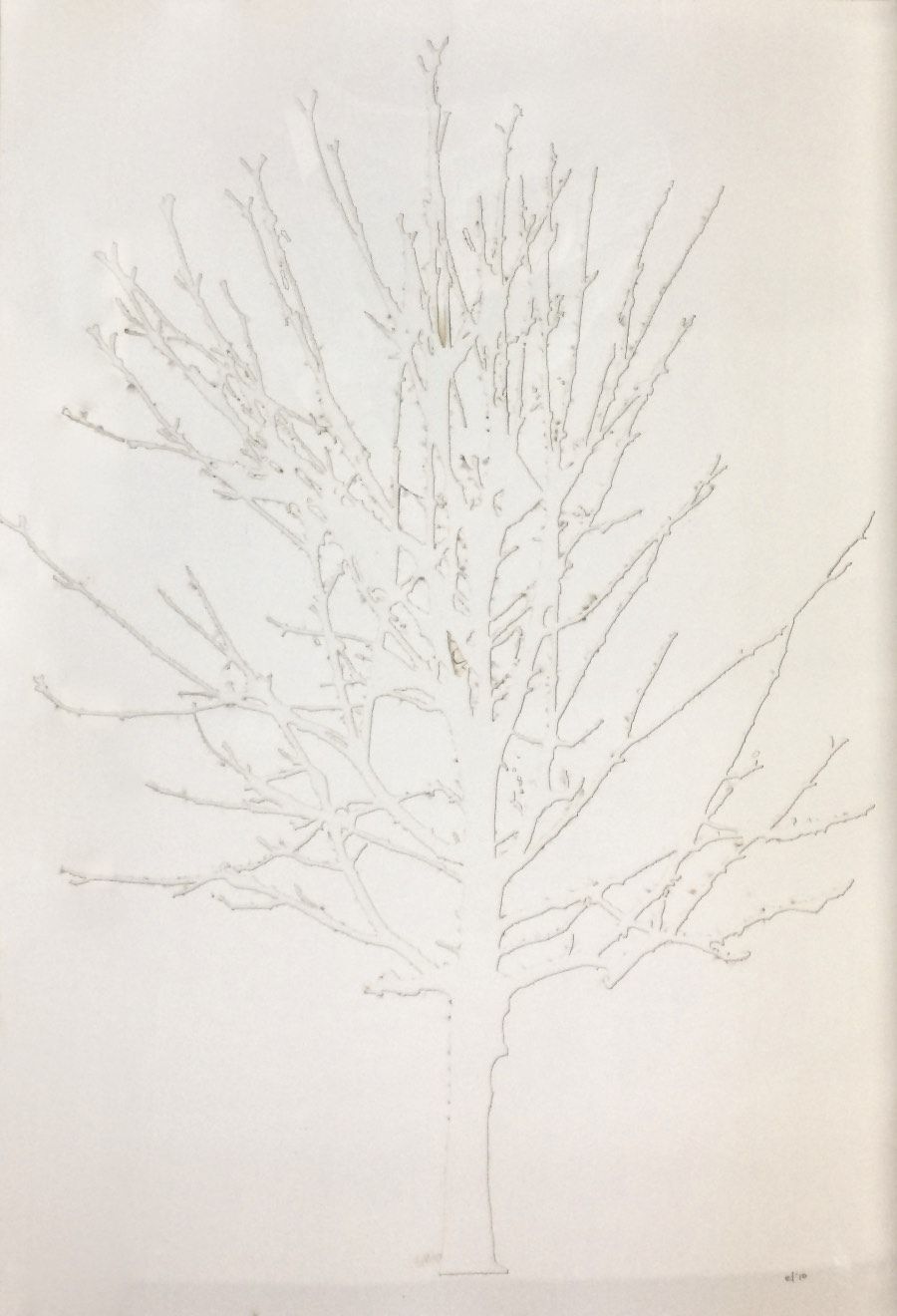 White Tree by Emma Levine