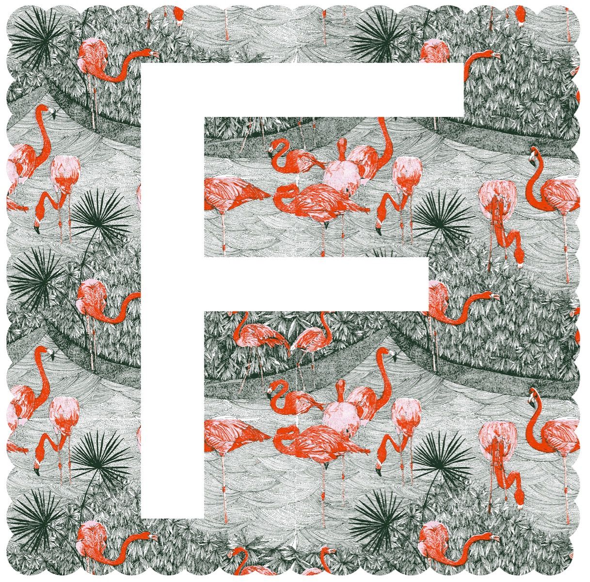 F is for Flamingo by Clare Halifax