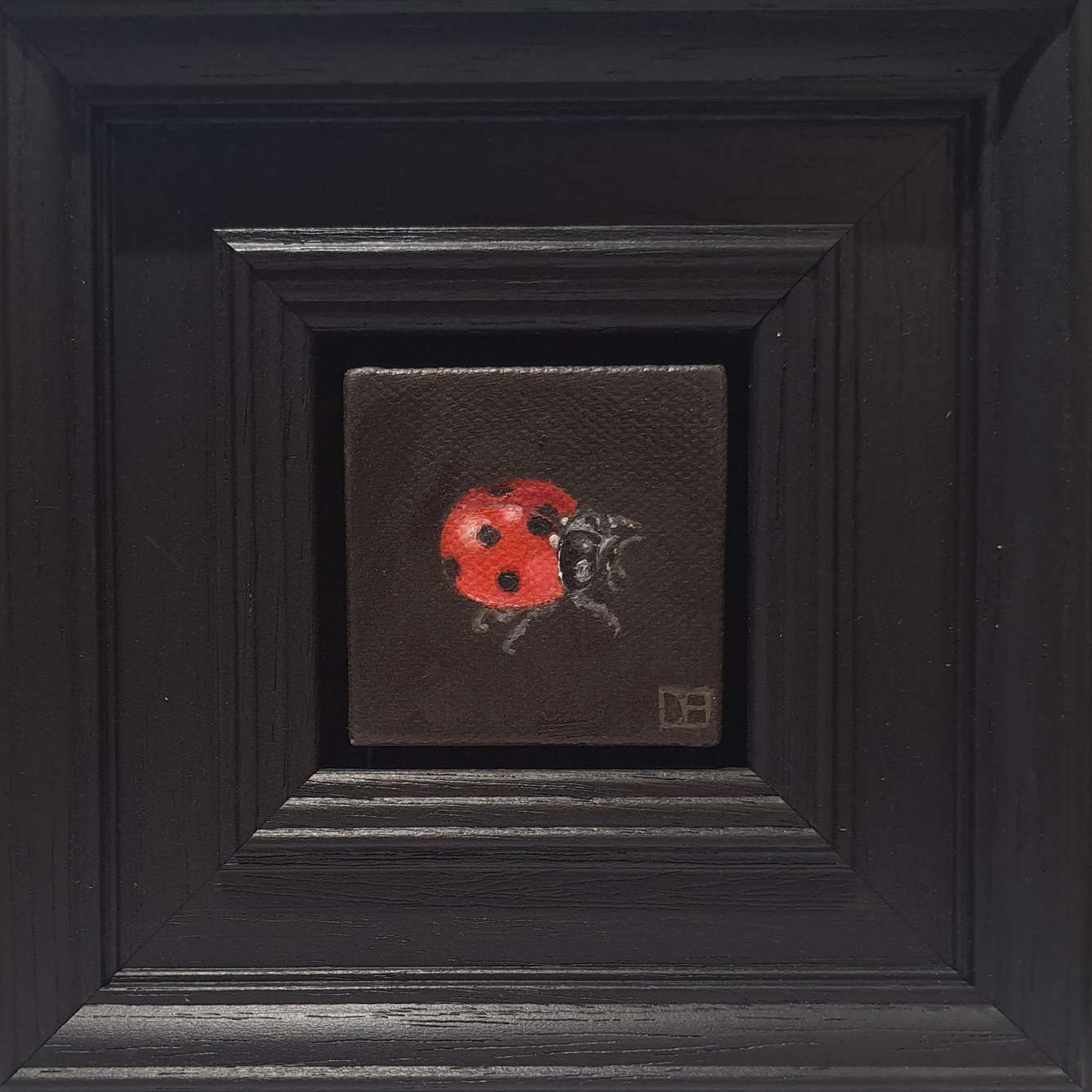Pocket Ladybird 2  by Dani Humberstone