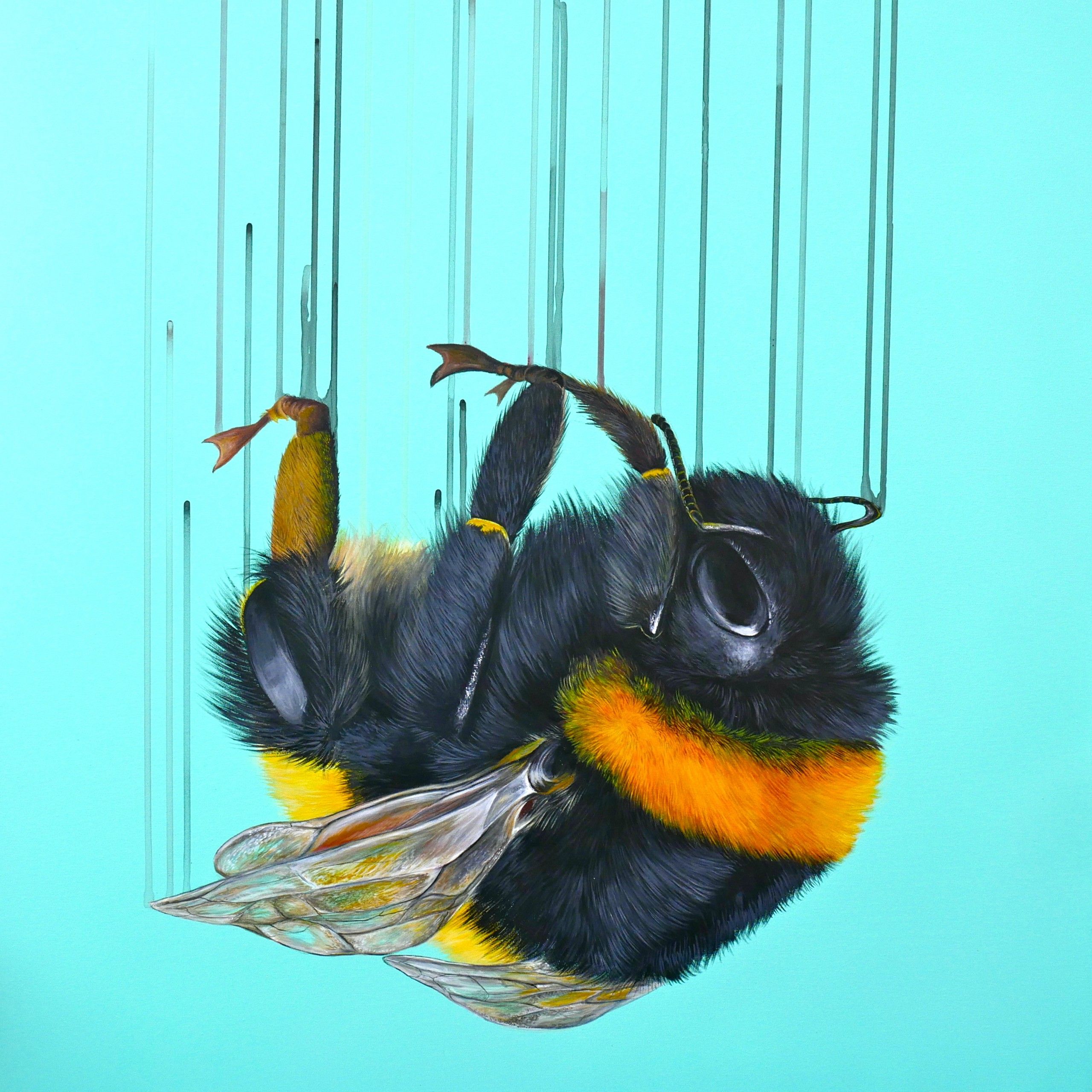 Falling for You by Louise Mcnaught