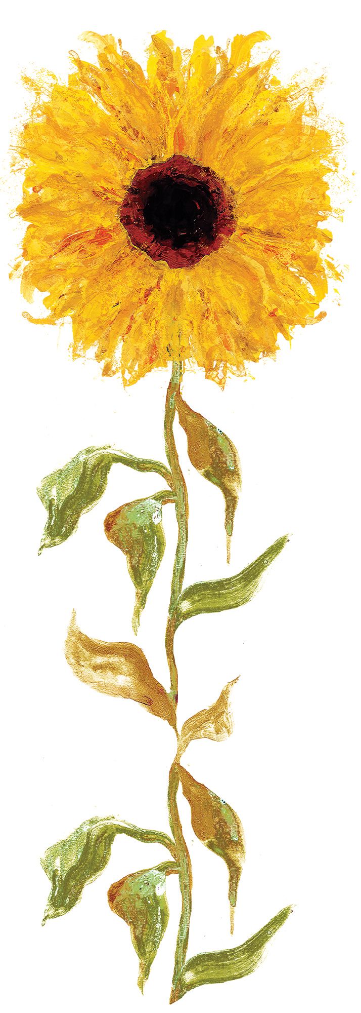 Sunflower by Gavin Dobson