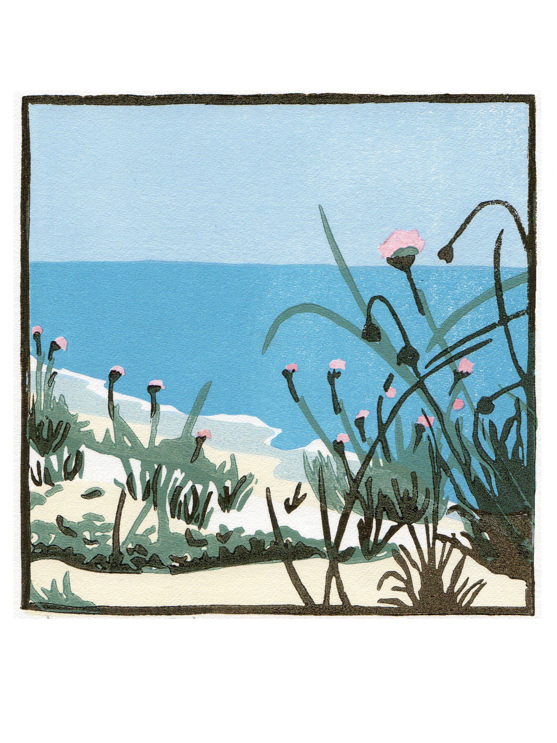 Sea Pinks in the Dunes by Fiona Carver