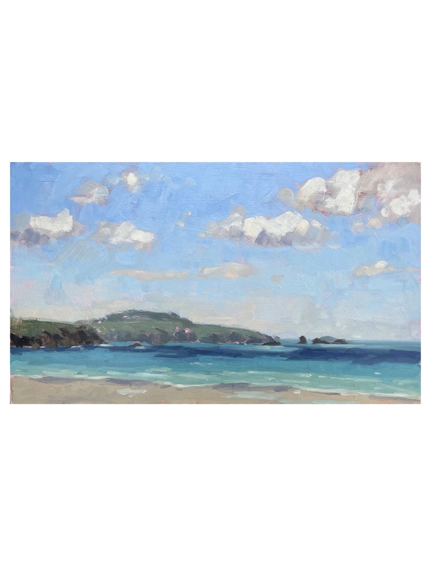 Summer Day at Whitesands Bay by Fiona Carver