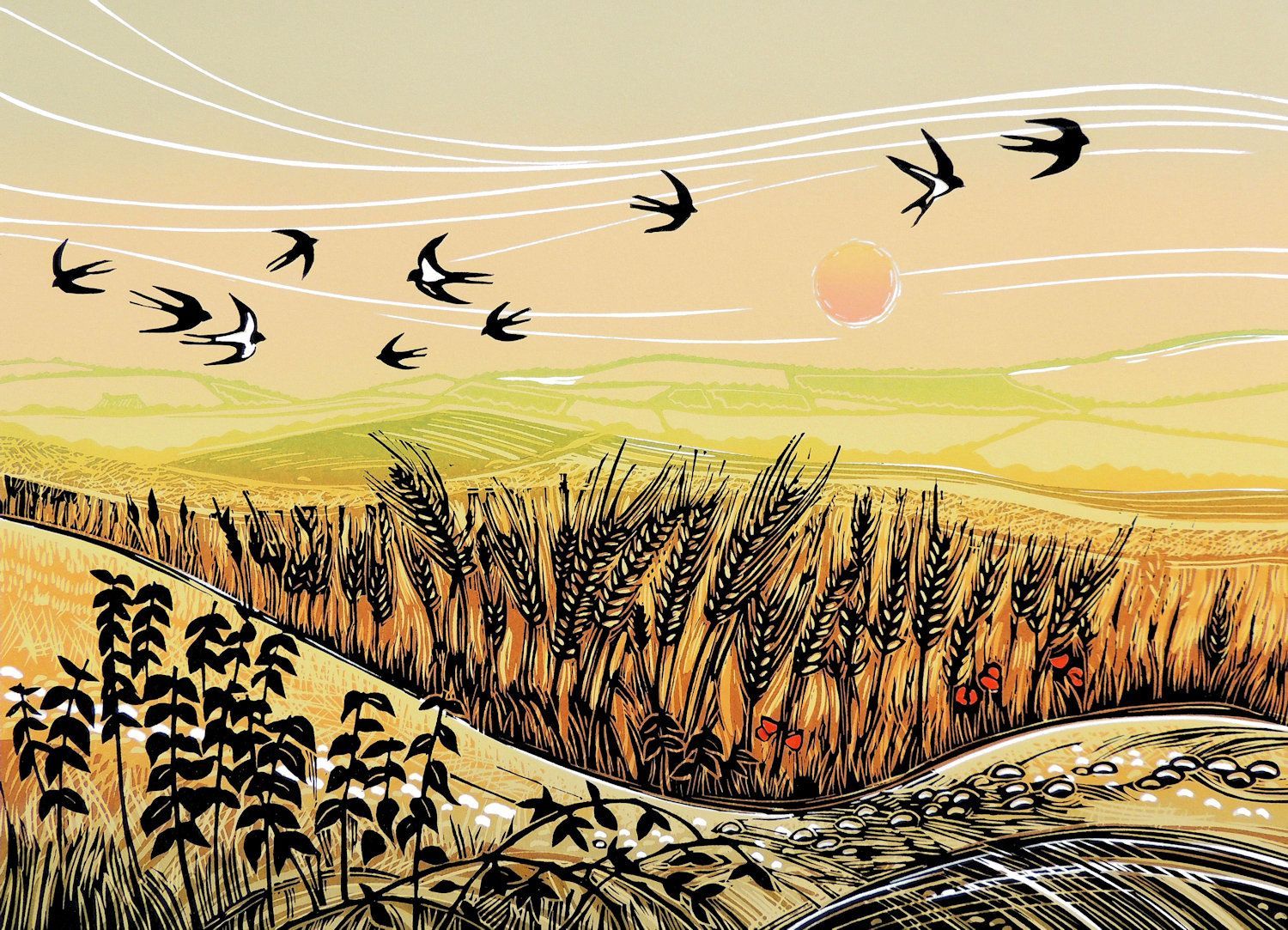 Flight Over The Barley by Rob Barnes