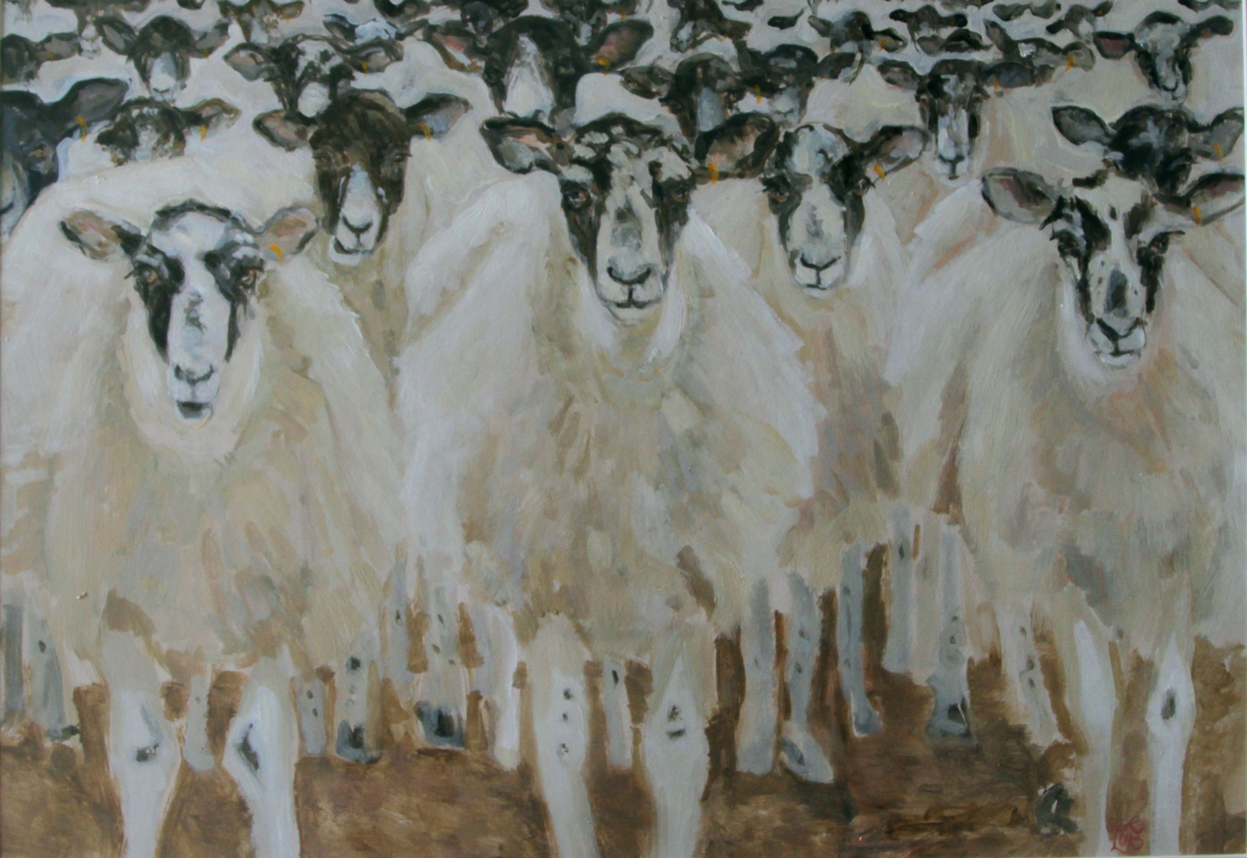 Flock by Kate Knott