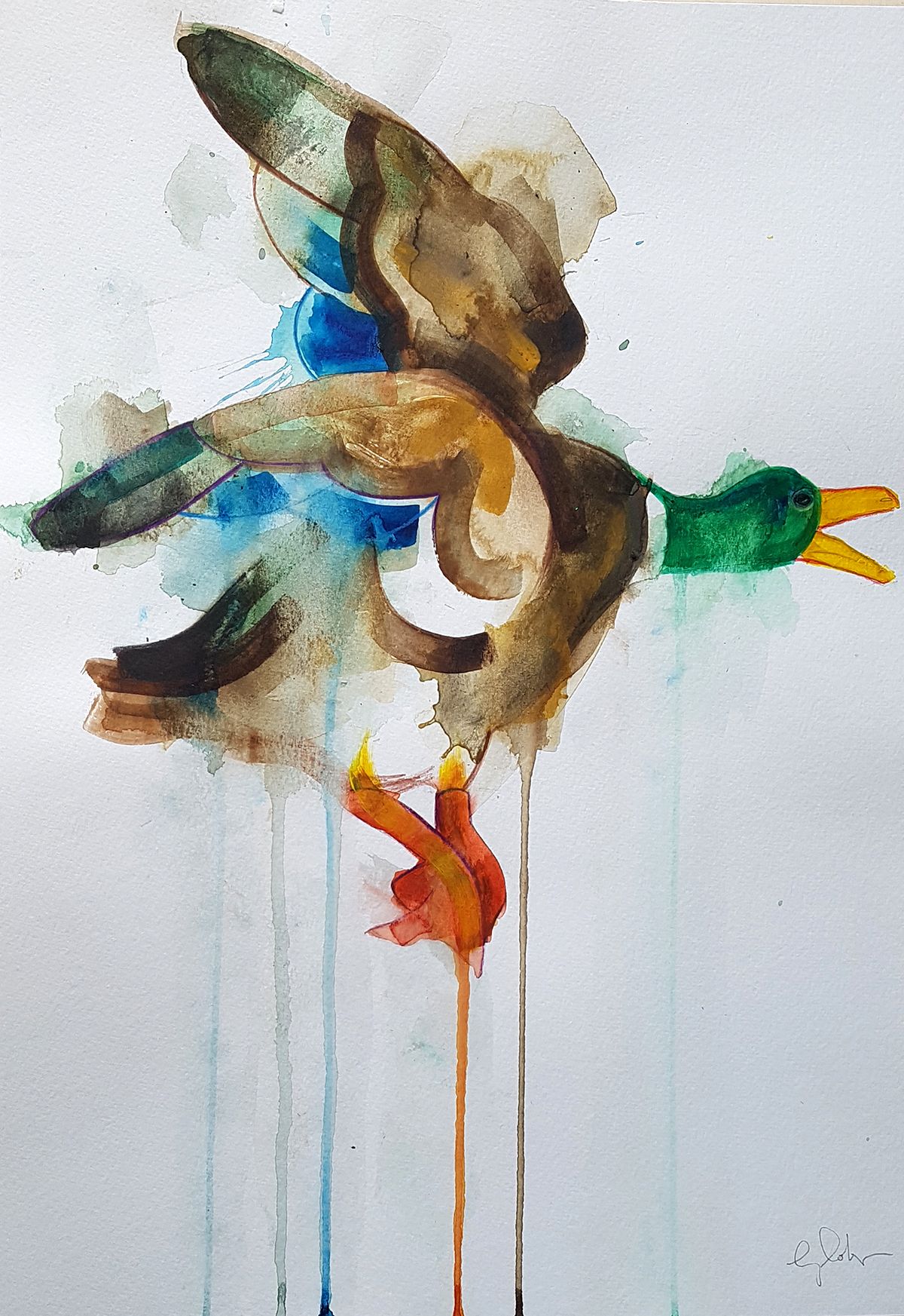 Flying Duck by Gavin Dobson