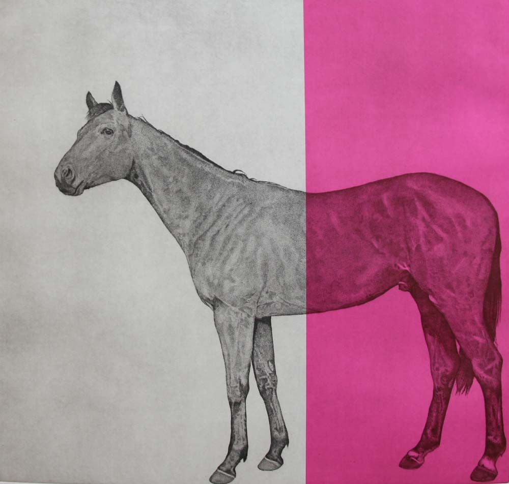 Horse Study Fuchsia by Guy Allen