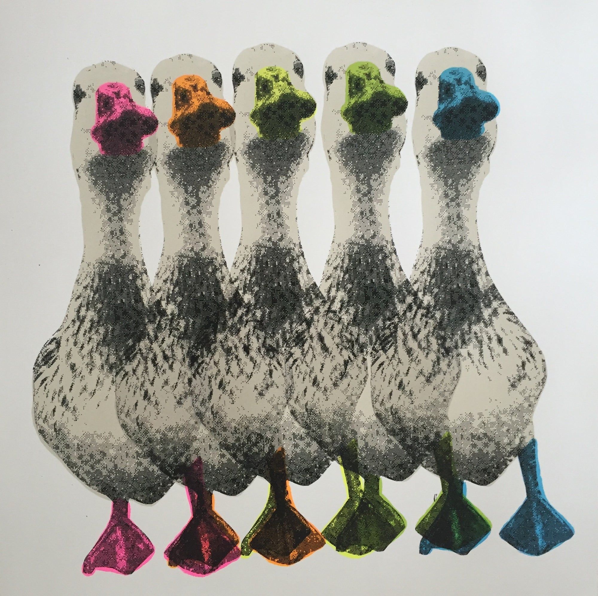 New Duck Pride II by Charlotte Gerrard