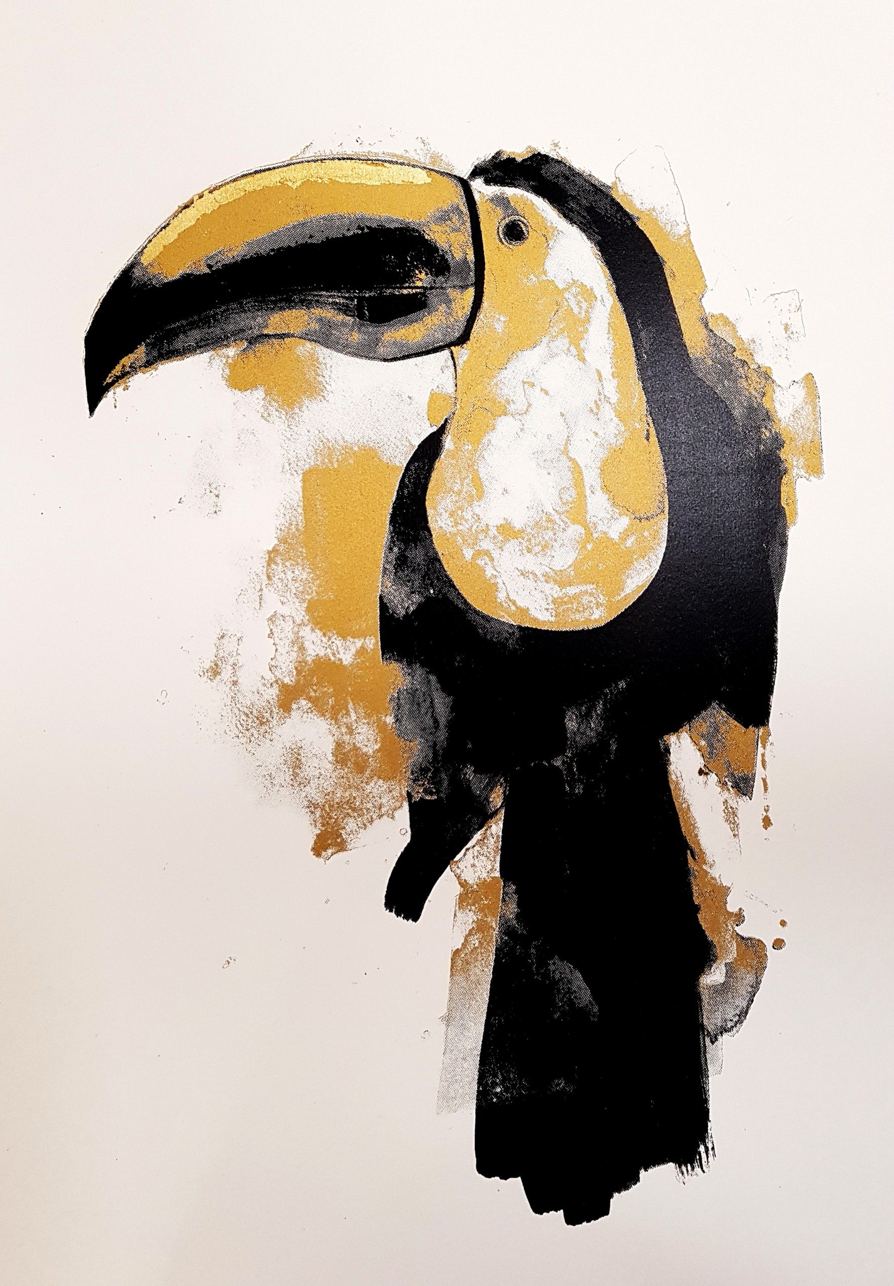 Toucan gold by Gavin Dobson