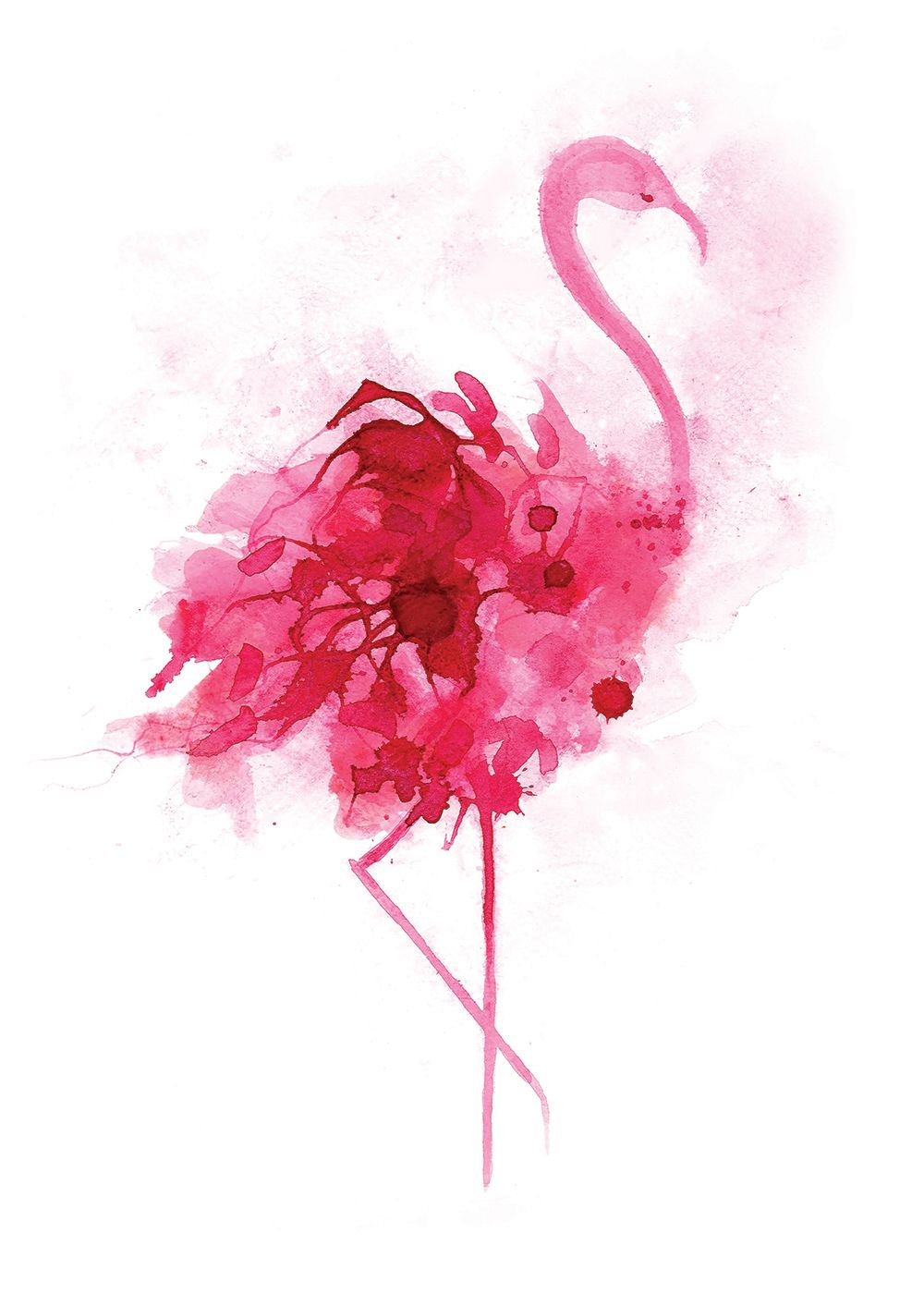 Flamingo by Gavin Dobson