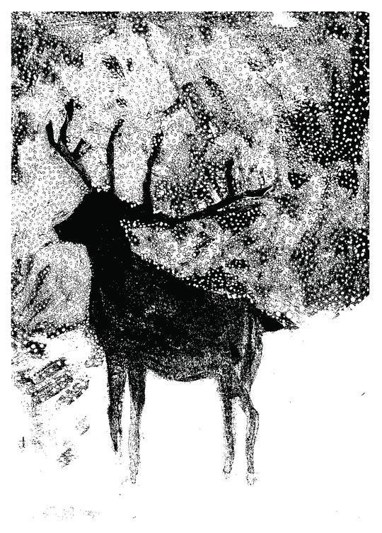 Reindeer by Gavin Dobson