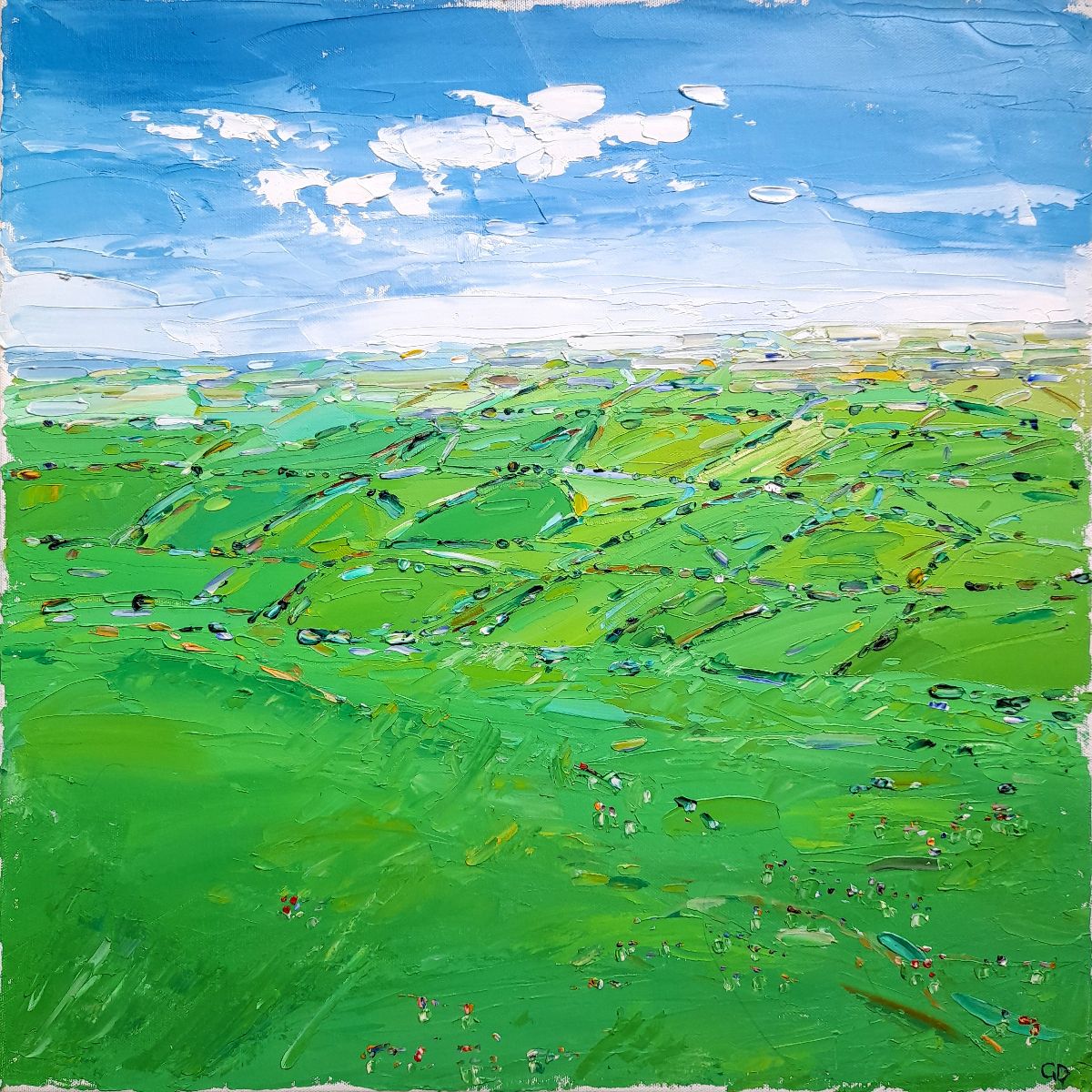 Patchwork Fields with Wildflower by Georgie Dowling
