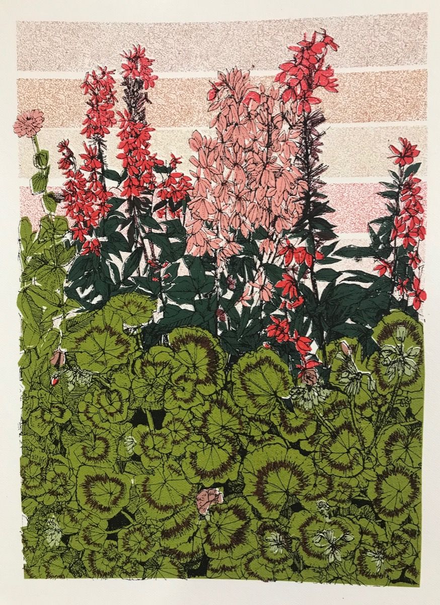 Geranium Flower Bed, Tatton Park by Clare Halifax