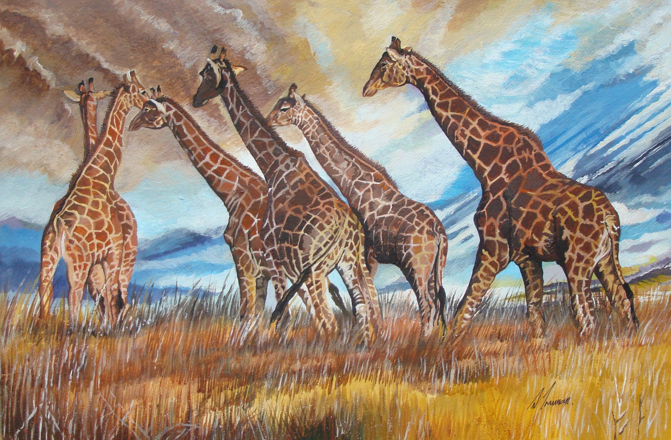 Giraffes at Dusk by David Truman