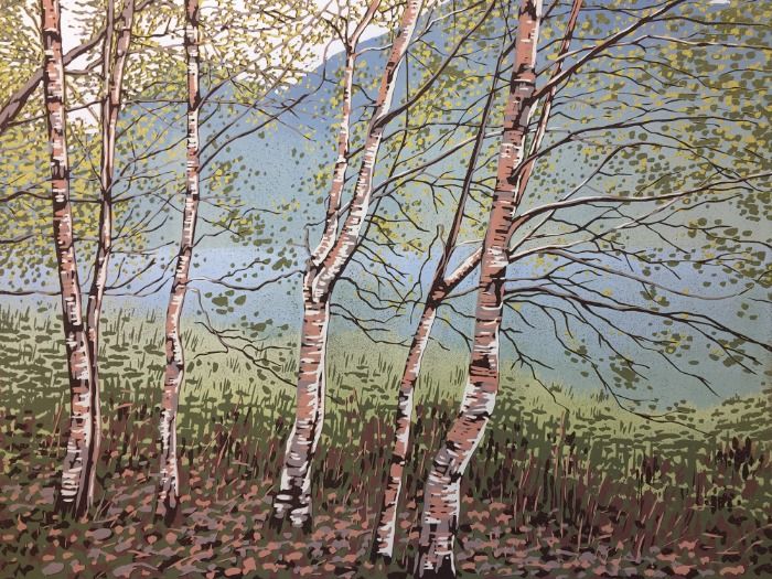 Grasmere Birches by Alexandra Buckle