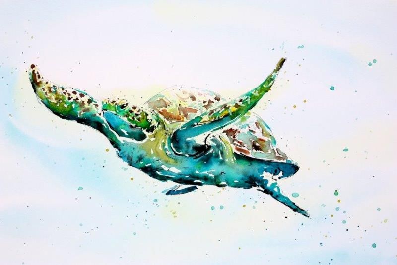 Green Turtle by Julia Cassels