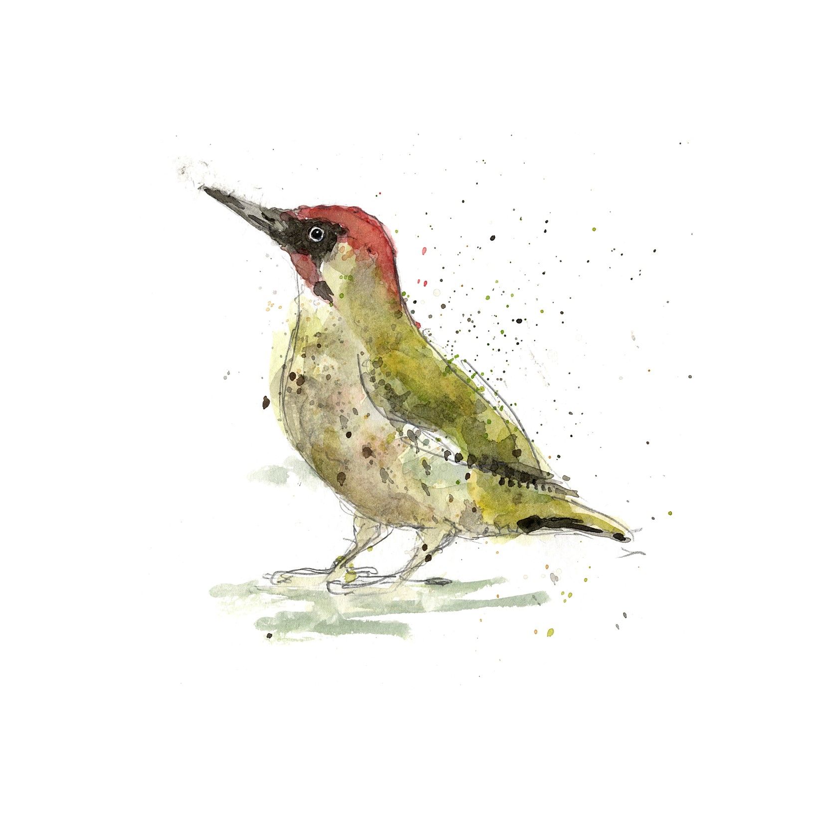 Green Woodpecker series 2 by Zaza Shelley