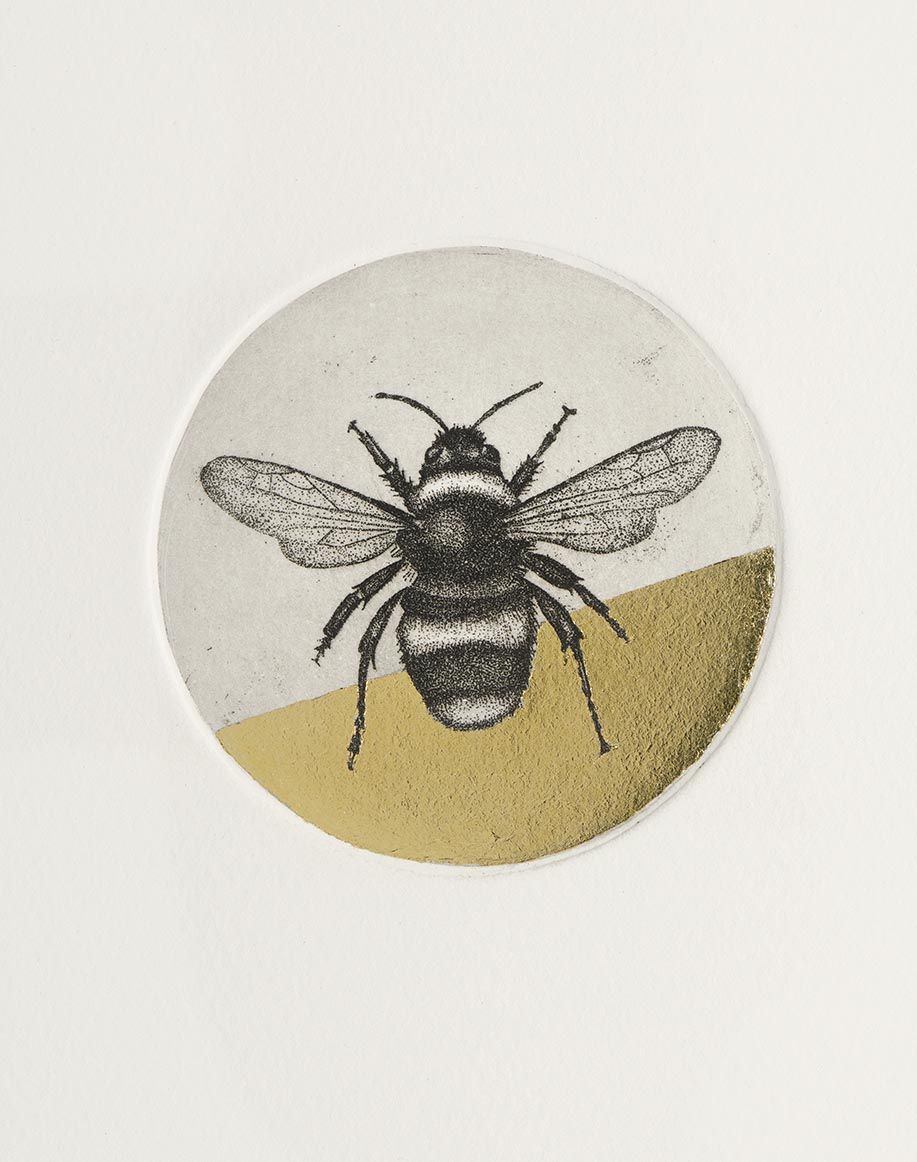 Bumblebee Study by Guy Allen