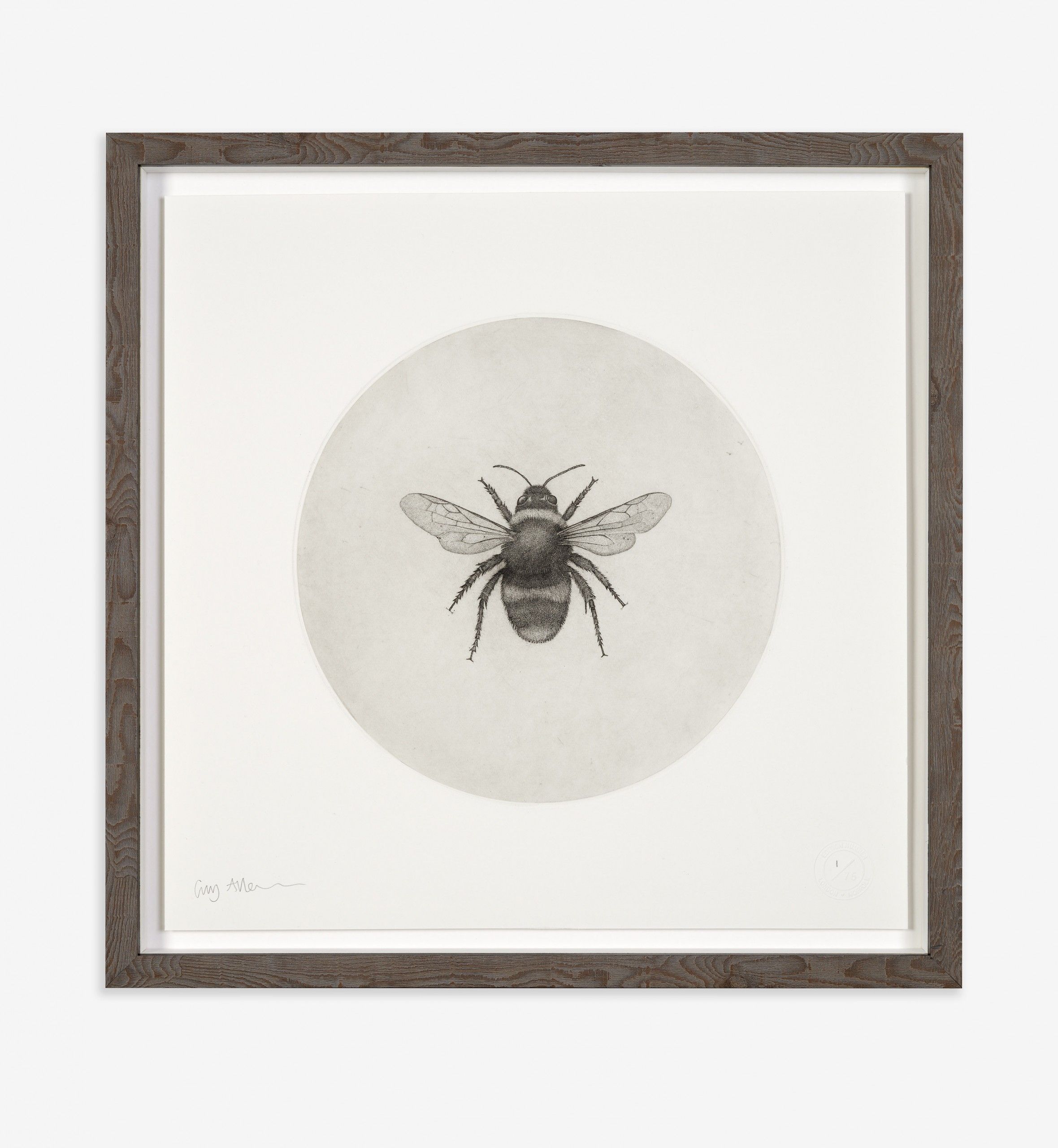 Bumblebee by Guy Allen