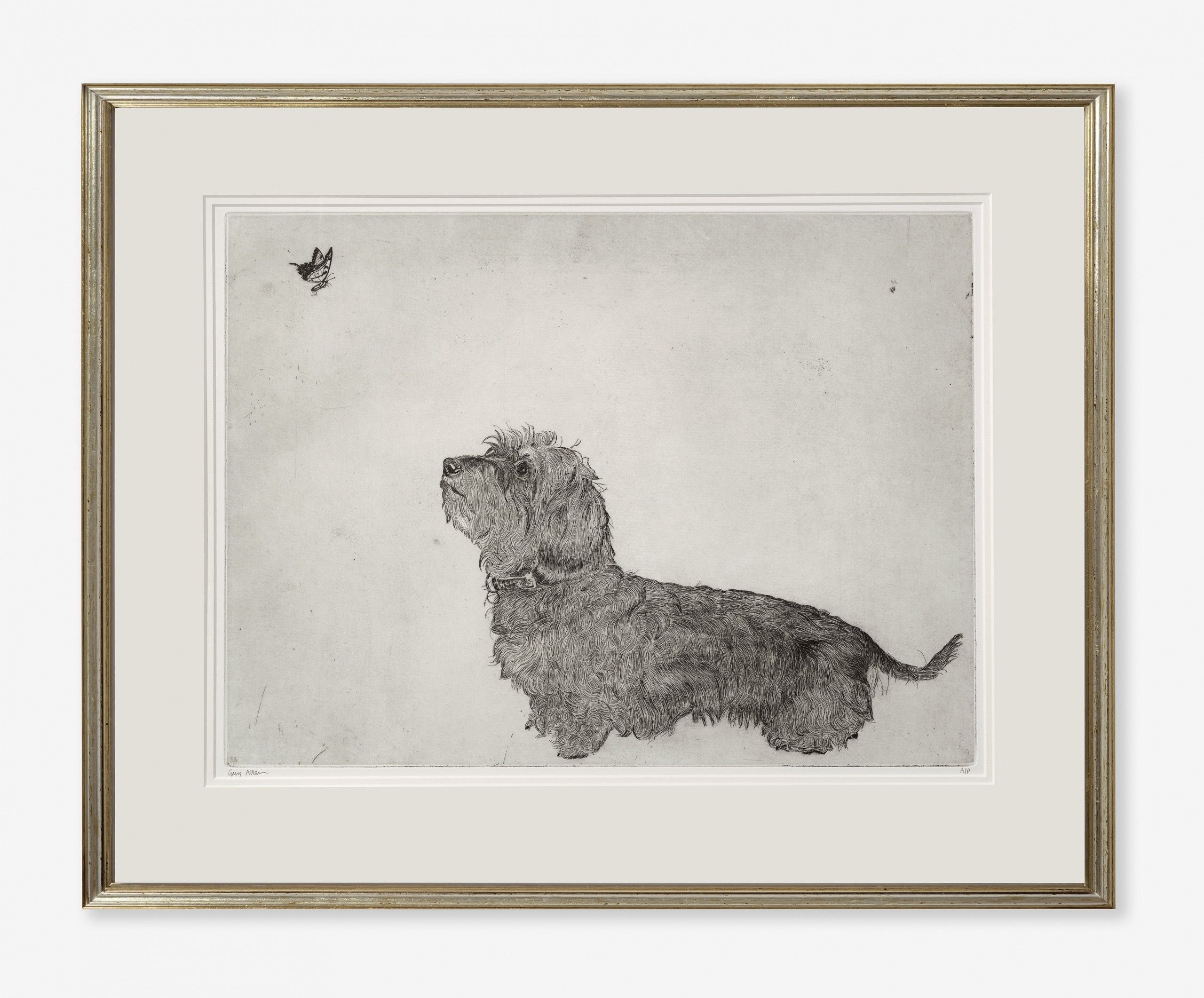 Dachshund and Butterfly by Guy Allen