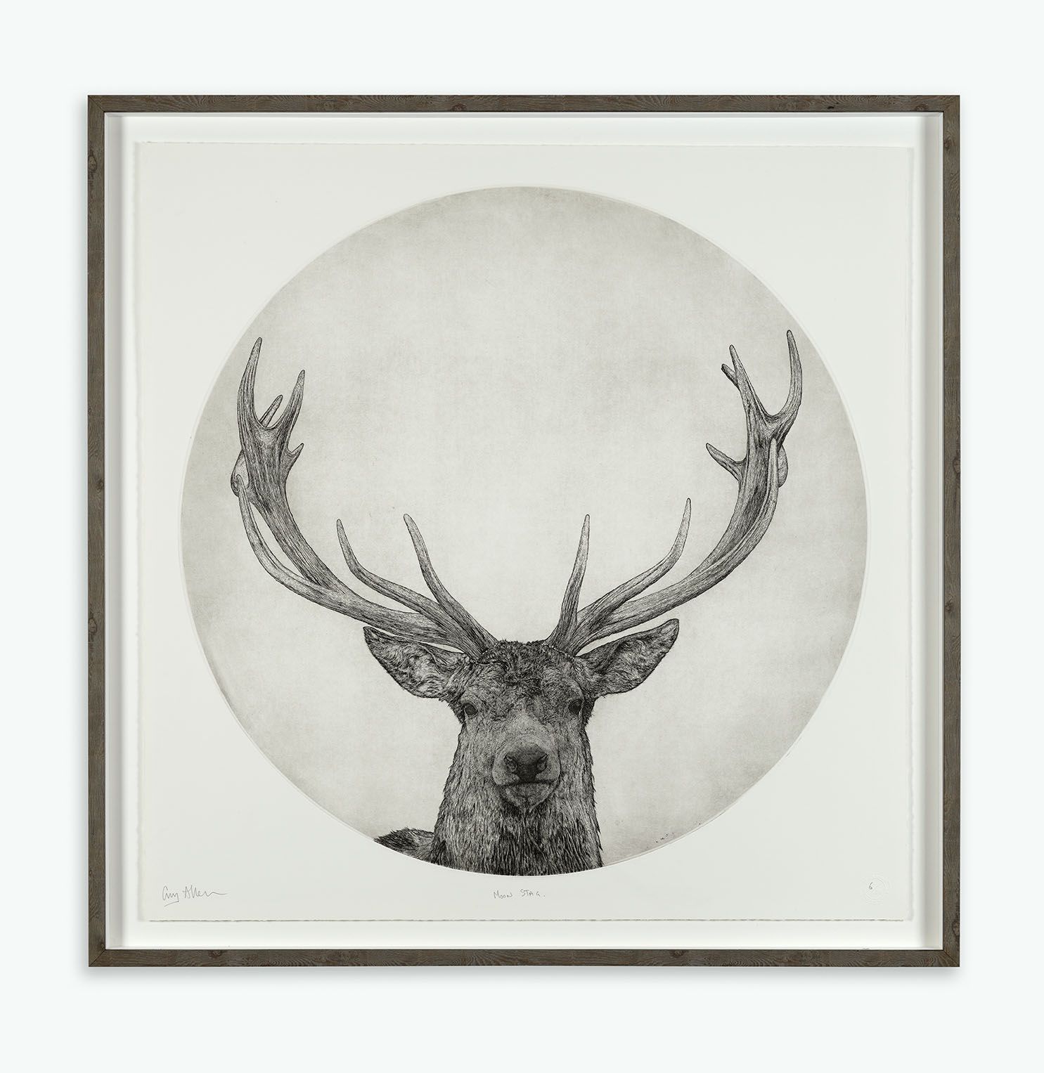 Moon Stag by Guy Allen