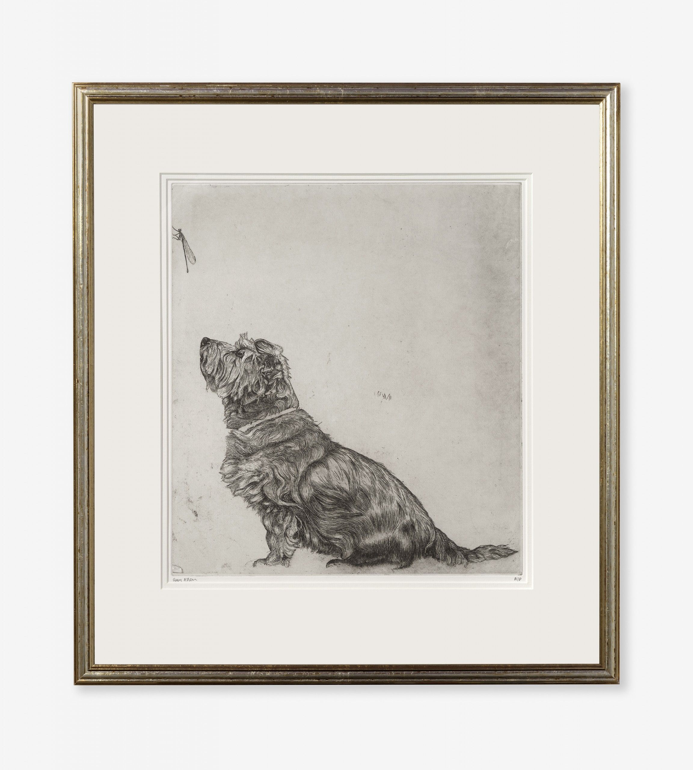 Norfolk Terrier and Damselfly by Guy Allen