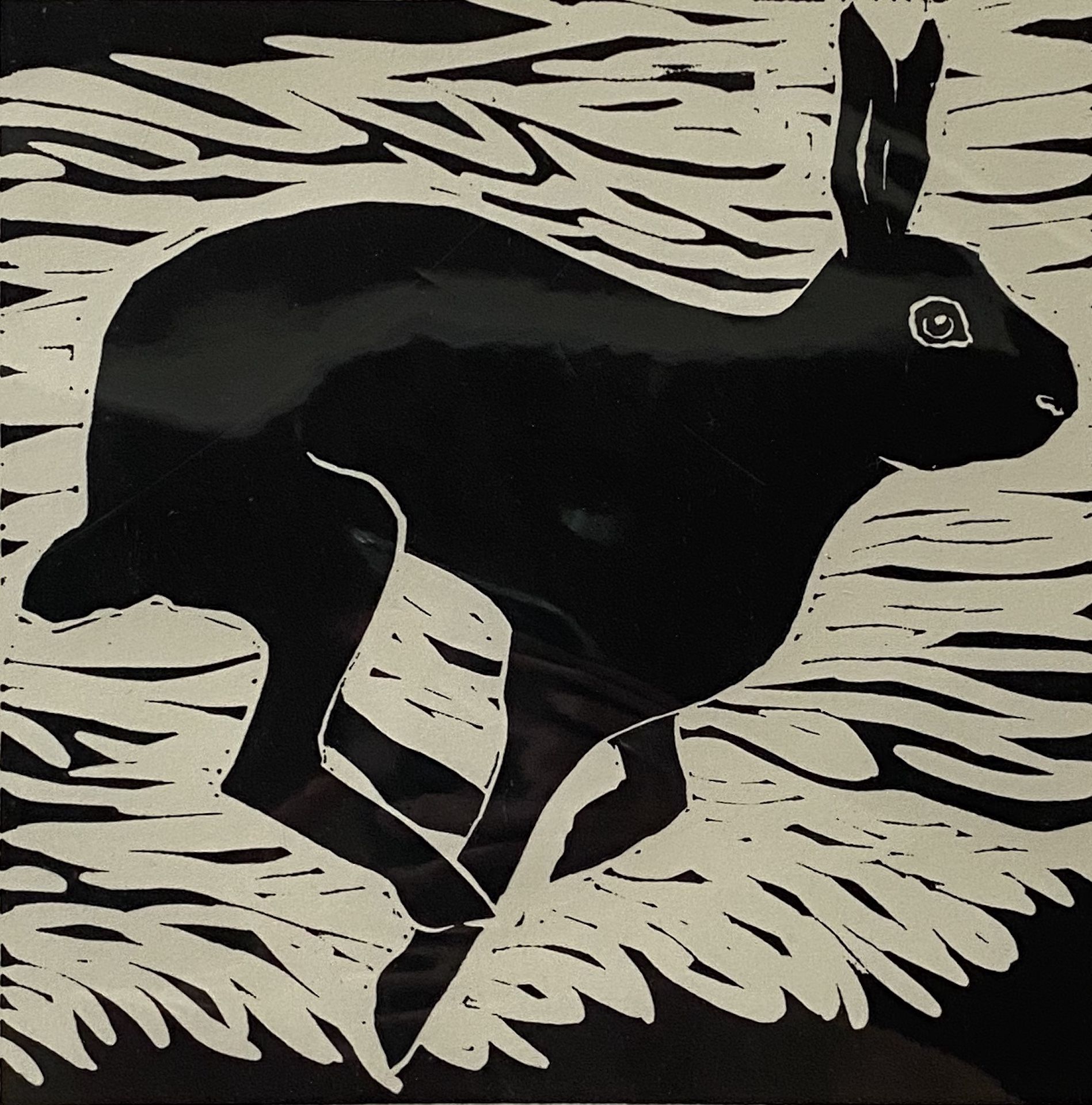 Go Faster Hare by Rosemary Farrer
