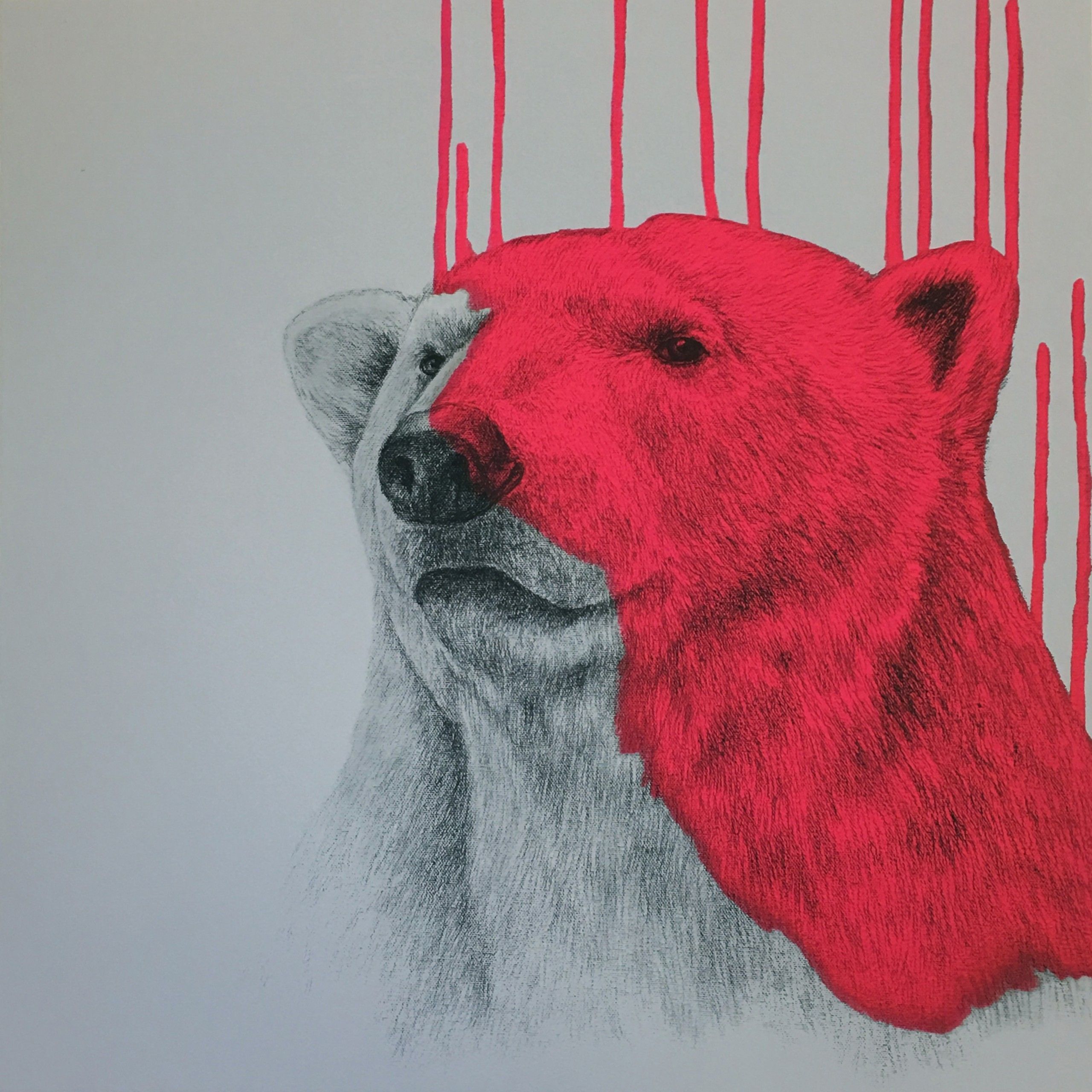 Hey There, Polar Bear - #Pink by Louise Mcnaught