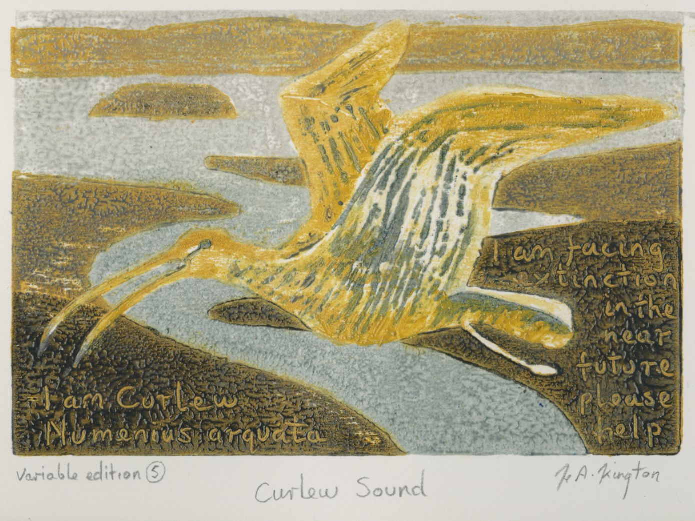 Curlew Sound 5 by Hilary Kington