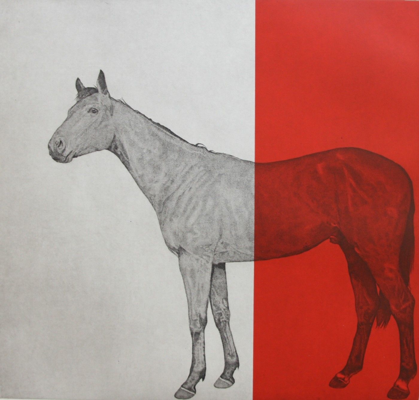 Horse Study Red by Guy Allen