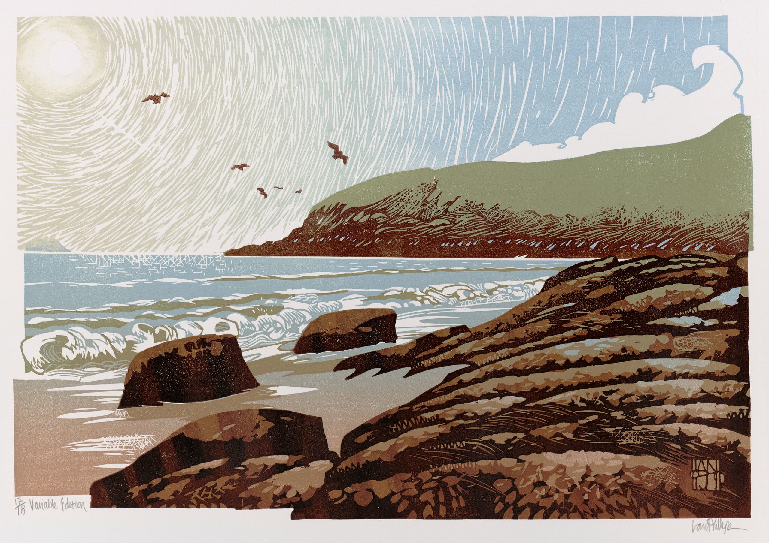 Sunshine Seagulls by Ian Phillips