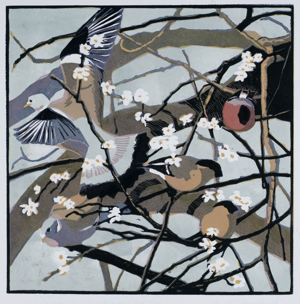 Bullfinches & Woodpigeons by Robert Greenhalf