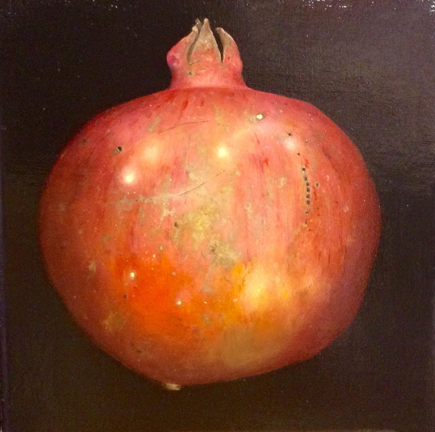 Red Pomegranate by Dani Humberstone