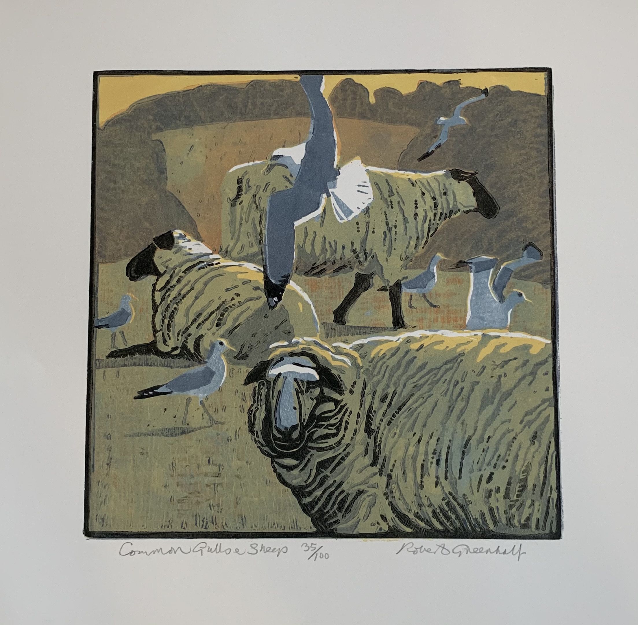 Common Gulls & Sheep by Robert Greenhalf - Secondary Image