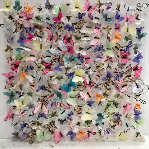 Multitude of Butterflies by Michael Olsen