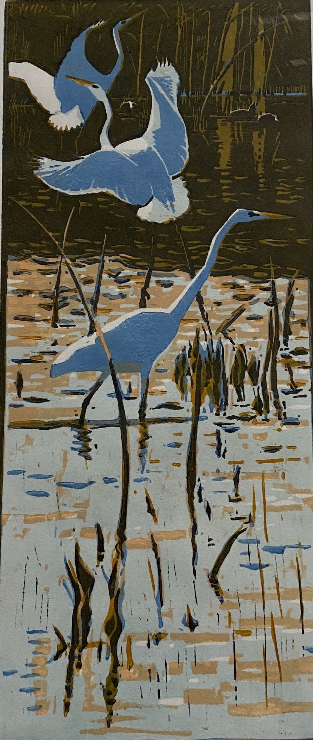 Great White Egrets by Robert Greenhalf