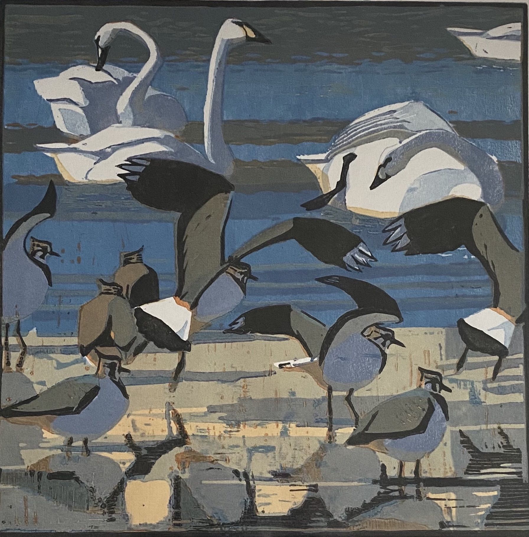 Berwick's Swans and Lapwings by Robert Greenhalf
