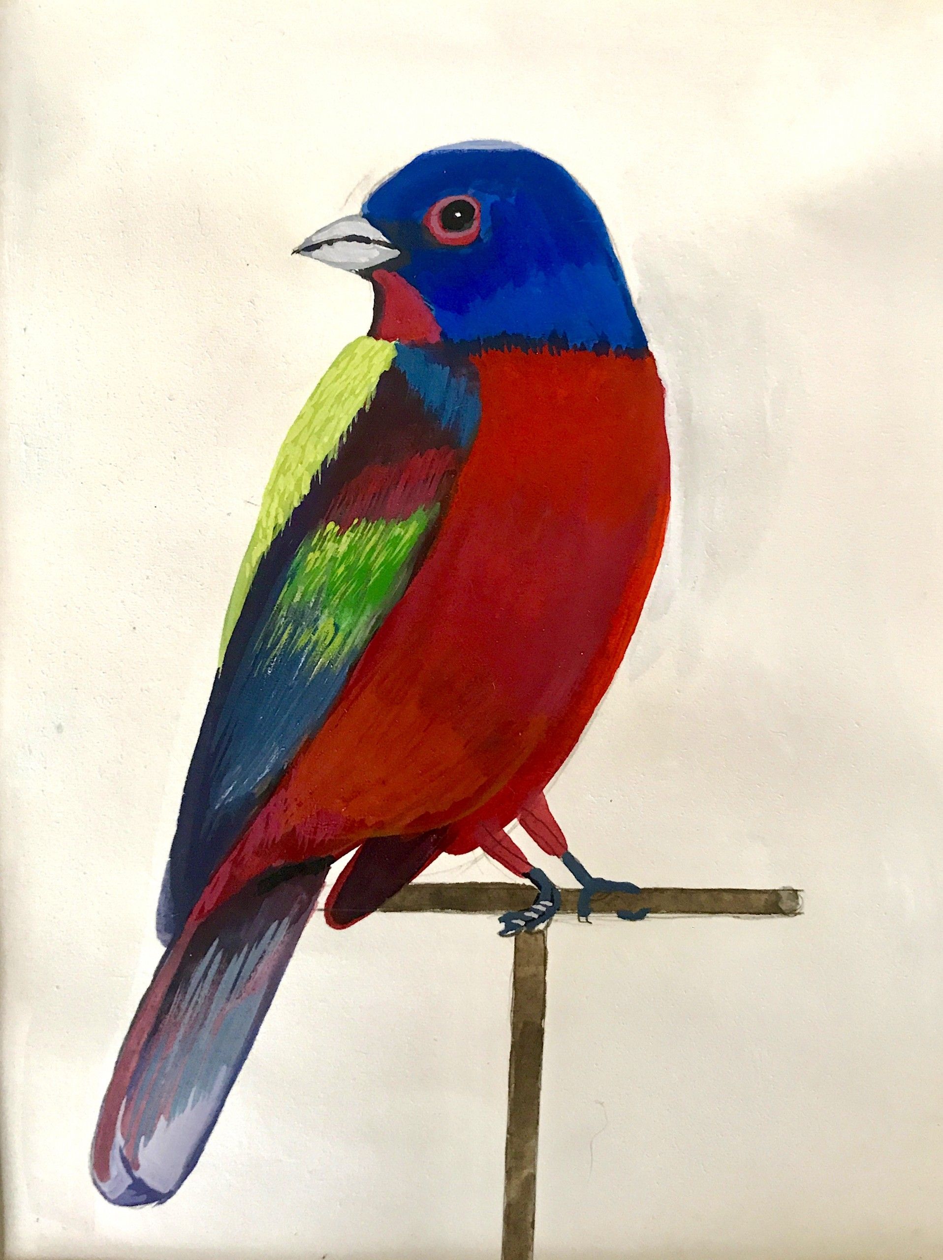 Painted bunting by Daisy Clarke