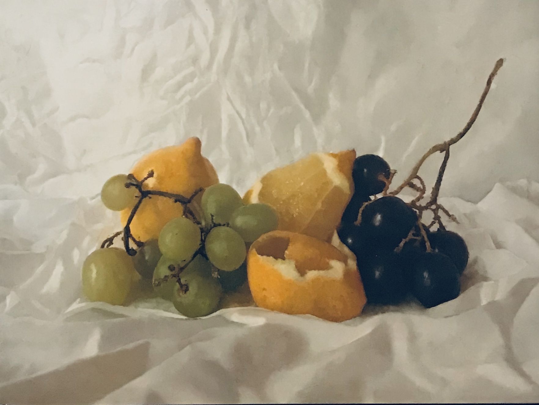 Grapes and Lemon by Kate Verrion