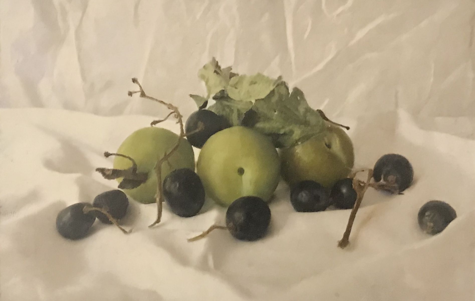 Greengage and Black Grapes by Kate Verrion
