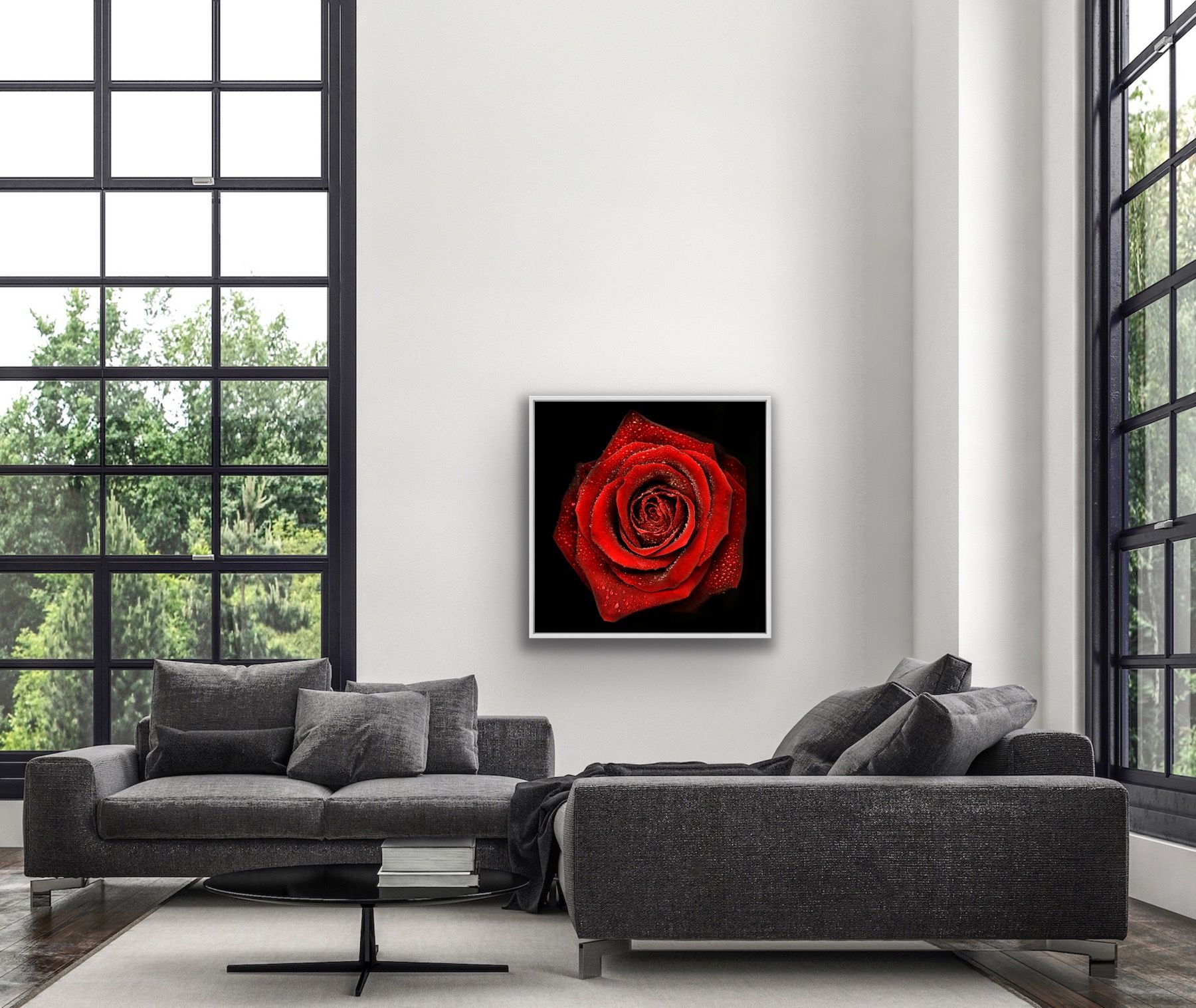 Rose N°2 by Allan Forsyth - Secondary Image