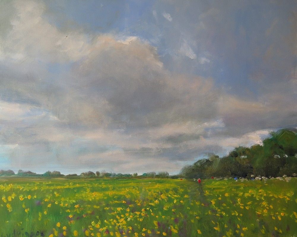 Buttercup Meadow By Malcom Ludvigsen by Malcom Ludvigsen