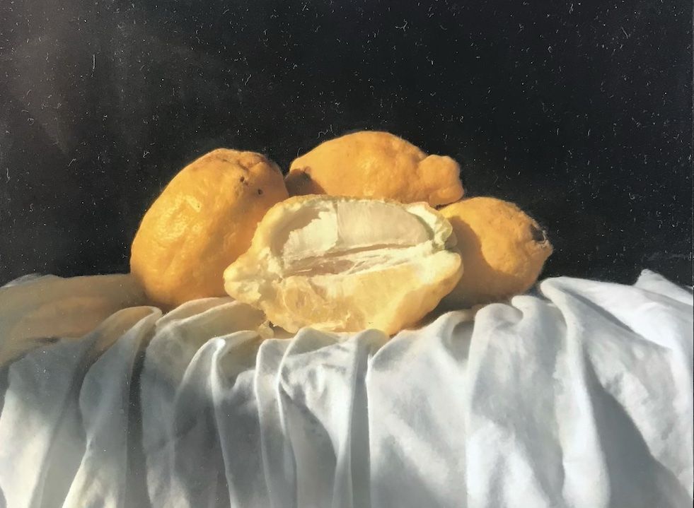 Amalfi Lemons by Kate Verrion