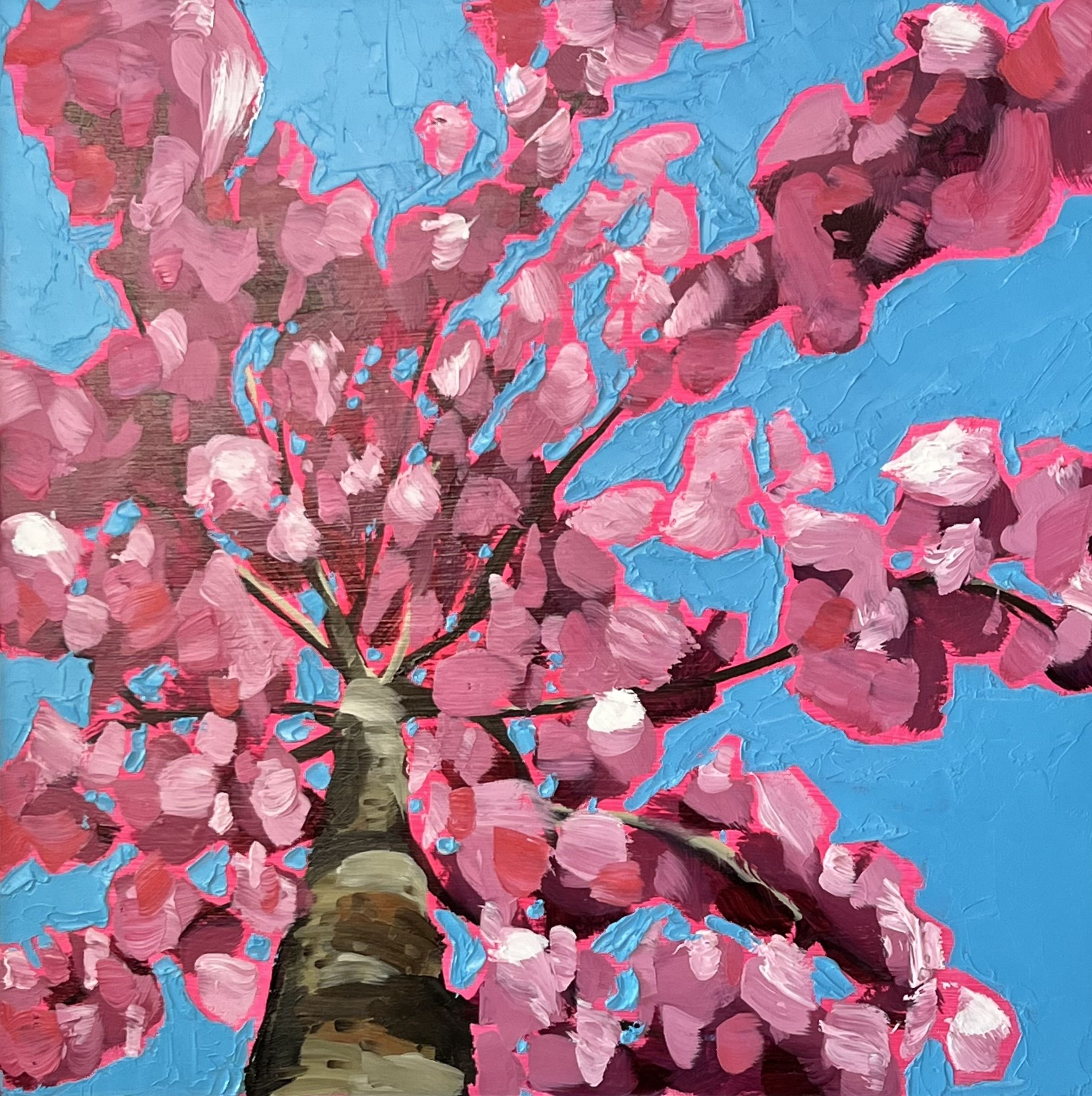 Looking Up Through Cherry Blossom for Warmth by Emily Finch