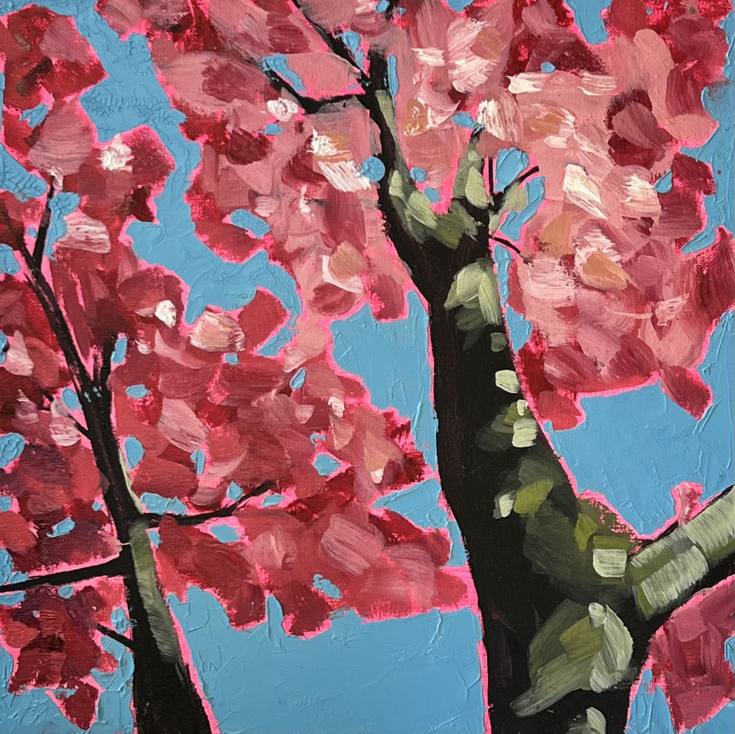 Looking Up Through Pink Blossom Trees to Feel Compassion by Emily Finch