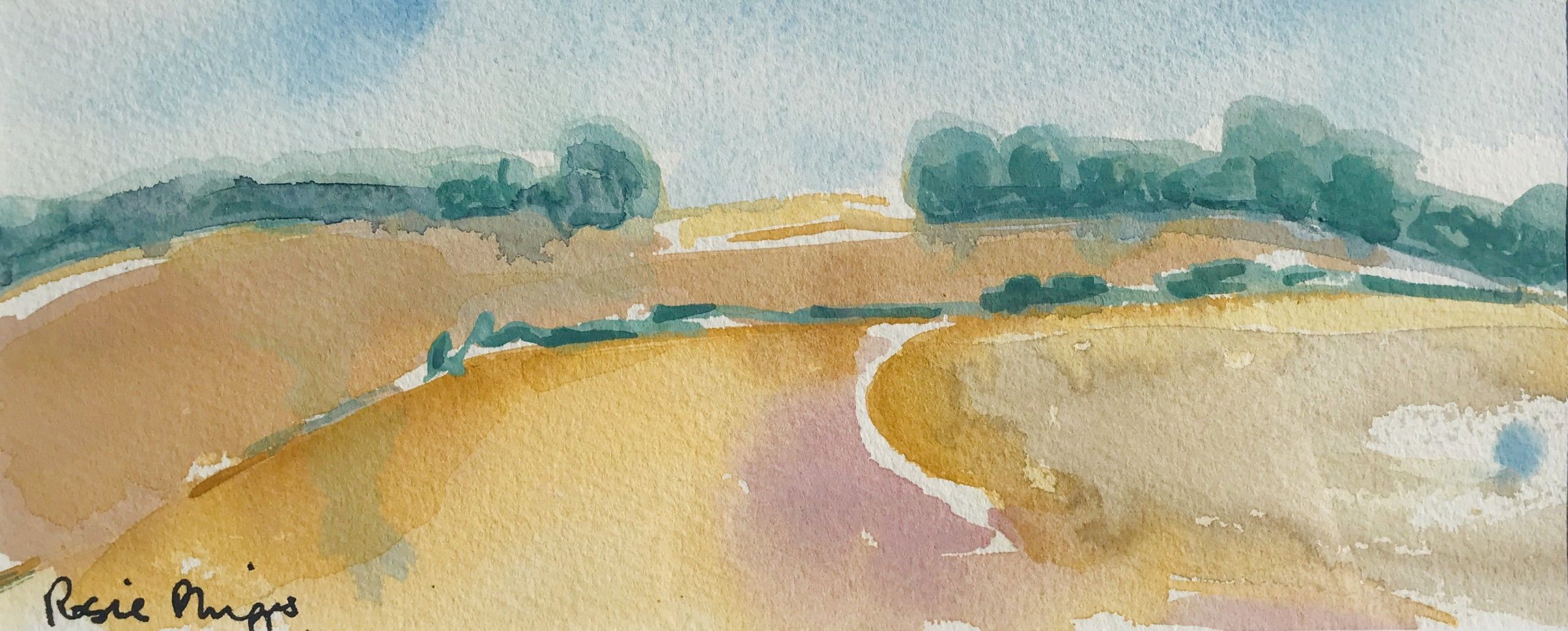 Cotswolds Landscape VIII by Rosie Phipps